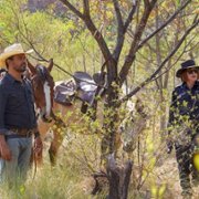Mystery Road - galeria zdjęć - filmweb