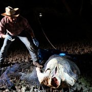 Mystery Road - galeria zdjęć - filmweb