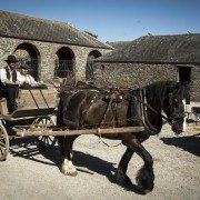 Śmierć i słowiki - galeria zdjęć - filmweb