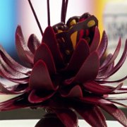 Zumbo's Just Desserts - galeria zdjęć - filmweb