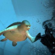Sammy's avonturen 2 - galeria zdjęć - filmweb