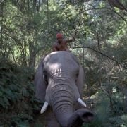 Magic Journey to Africa - galeria zdjęć - filmweb