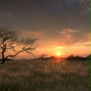 Magic Journey to Africa - galeria zdjęć - filmweb
