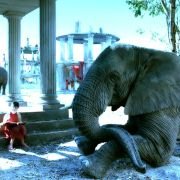 Magic Journey to Africa - galeria zdjęć - filmweb