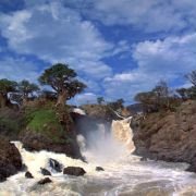 Magic Journey to Africa - galeria zdjęć - filmweb