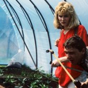 Galimatias, czyli kogel-mogel II - galeria zdjęć - filmweb
