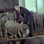 Galimatias, czyli kogel-mogel II - galeria zdjęć - filmweb