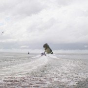 Poseidon Rex - galeria zdjęć - filmweb