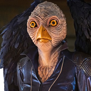 Blue Avian