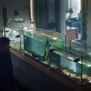 Obsesja - galeria zdjęć - filmweb