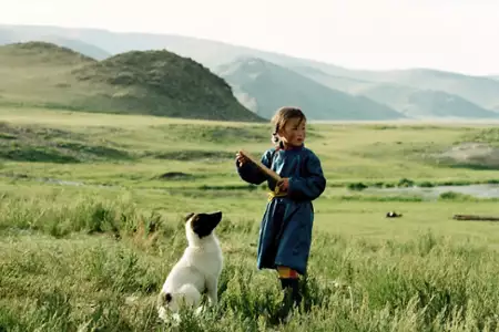 Jaskinia żołtego psa - galeria zdjęć - filmweb