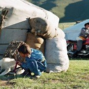 Die Höhle des gelben Hundes - galeria zdjęć - filmweb