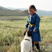 Die Höhle des gelben Hundes - galeria zdjęć - filmweb