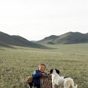 Die Höhle des gelben Hundes - galeria zdjęć - filmweb