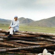 Die Höhle des gelben Hundes - galeria zdjęć - filmweb
