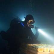 Renegades - galeria zdjęć - filmweb