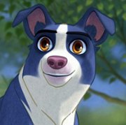 Eondeodog - galeria zdjęć - filmweb