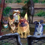 Underdog - galeria zdjęć - filmweb