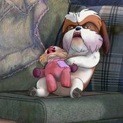 Underdog - galeria zdjęć - filmweb