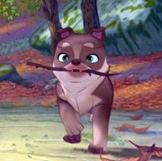 Eondeodog - galeria zdjęć - filmweb