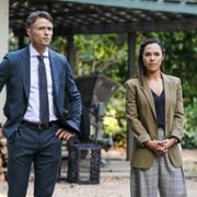 All Rise - galeria zdjęć - filmweb