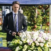 All Rise - galeria zdjęć - filmweb