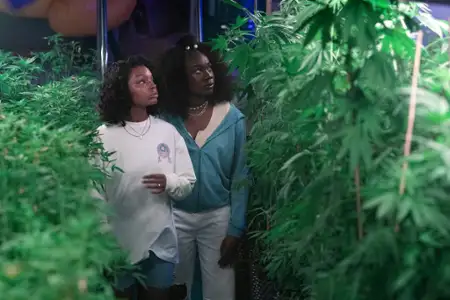 W nogi - galeria zdjęć - filmweb