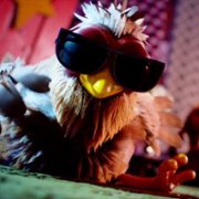 Ella Bella Bingo - galeria zdjęć - filmweb