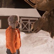 Gdzie jest Mikołaj? - galeria zdjęć - filmweb