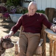 Star Trek: Picard - galeria zdjęć - filmweb