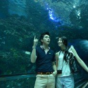 Luo Si Xiao Jie Yao Chu Jia - galeria zdjęć - filmweb
