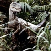 Jurassic Park - galeria zdjęć - filmweb