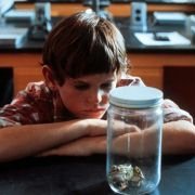 E.T. - galeria zdjęć - filmweb