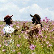 The Color Purple - galeria zdjęć - filmweb