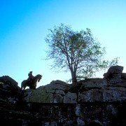 Wuthering Heights - galeria zdjęć - filmweb