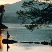Nell - galeria zdjęć - filmweb