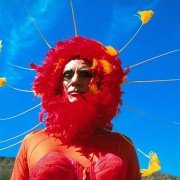 The Adventures of Priscilla, Queen of the Desert - galeria zdjęć - filmweb