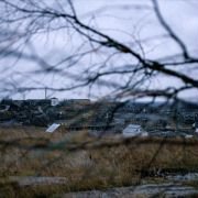 Ovsyanki - galeria zdjęć - filmweb