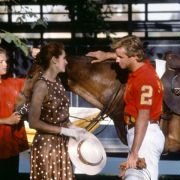 Pretty Woman - galeria zdjęć - filmweb