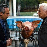 Sukaryot - galeria zdjęć - filmweb