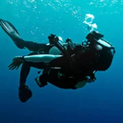 The Dive - galeria zdjęć - filmweb