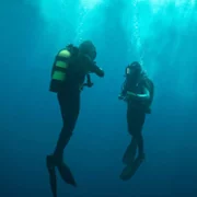 The Dive - galeria zdjęć - filmweb