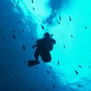 The Dive - galeria zdjęć - filmweb