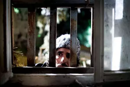The Wonders - galeria zdjęć - filmweb