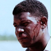 Dennis Haysbert w Pole miłości