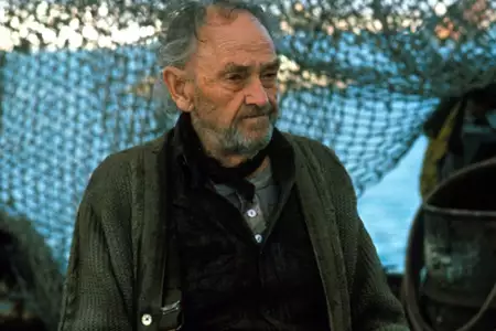Turner i Hooch - galeria zdjęć - filmweb