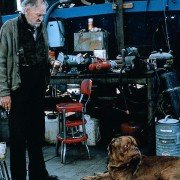 Turner & Hooch - galeria zdjęć - filmweb
