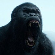 The Legend of Tarzan - galeria zdjęć - filmweb