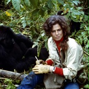 Gorillas in the Mist: The Story of Dian Fossey - galeria zdjęć - filmweb