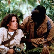 Gorillas in the Mist: The Story of Dian Fossey - galeria zdjęć - filmweb
